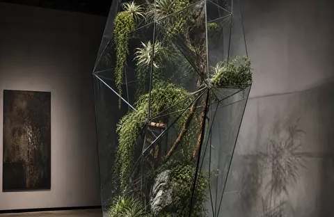 Terrarium Artistico