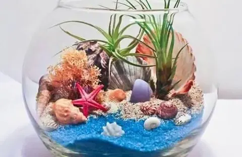 Terrarium Foresta