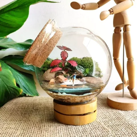 Terrarium Modello 1