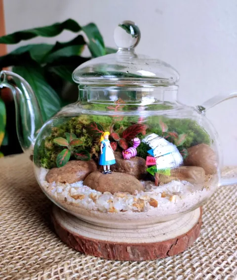 Terrarium Modello 3