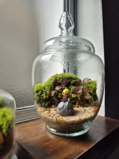Terrarium Modello 4