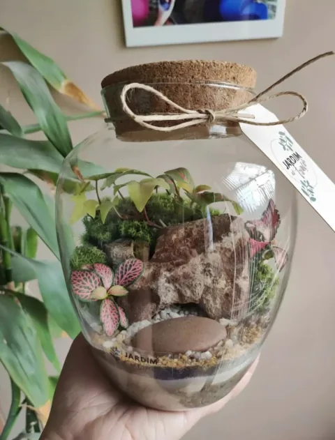 Terrarium Modello 5