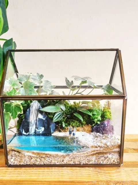 Terrarium Modello 6
