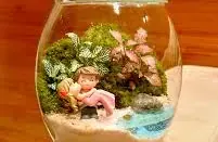 Terrarium Romantico