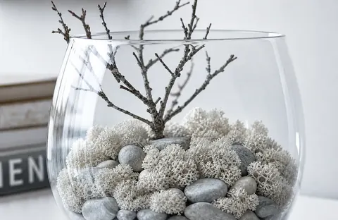 Terrarium Zen